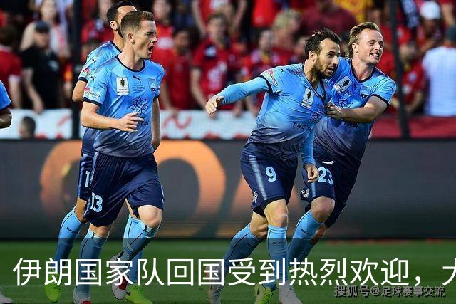伊朗国家队回国受到热烈欢迎，大批球迷接机